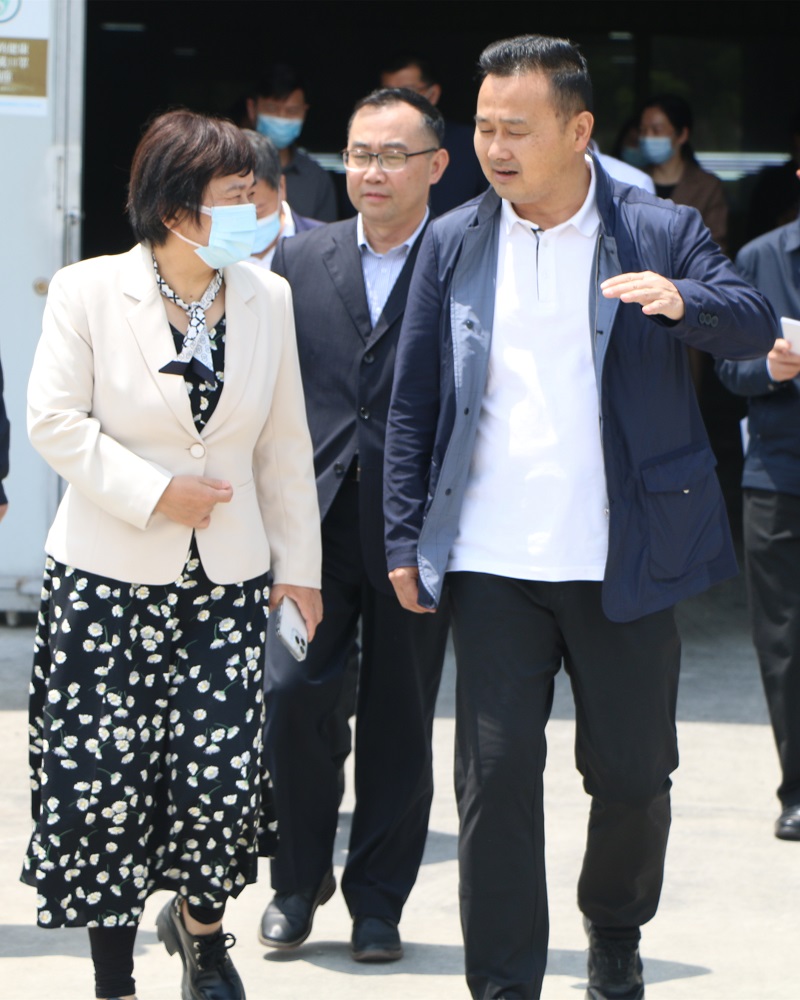 51玉立集团党建负责人黎俊彦向省政协副主席王红玲(左)介绍公司情况.jpg