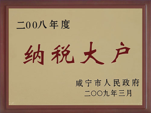 2009年荣获咸宁市纳税大户称号