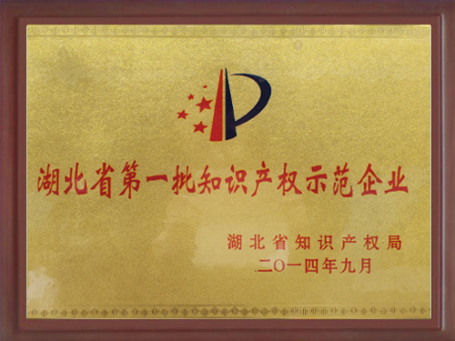 2014年荣获湖北省第一批知识产权示范企业